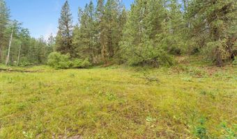 Sunset Trail, Banks, ID 83602