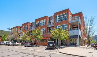 231 Robinson St 312, Basalt, CO 81621