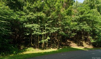 317 Boundary Tree Pass 14, Arden, NC 28704