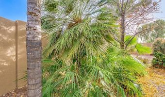 3531 S BARBERRY Pl, Chandler, AZ 85248