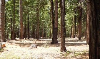 232 Iroquois Dr, Camp Connell, CA 95223