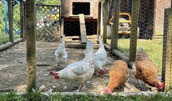 325 Seals Rd, Annville, KY 40402