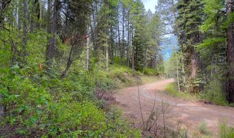 45 Landale Ln Lot 41, Cascade, ID 83611