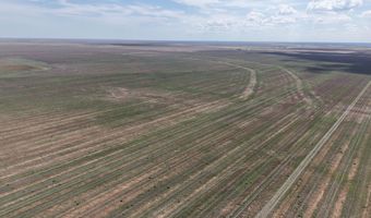 N 51 Ac. Tract 33 Pullman Road, Amarillo, TX 79118