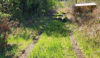 305 Clyde Ave, Aulander, NC 27805