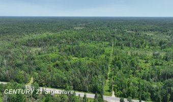 6002 Wildwood, Alger, MI 48610
