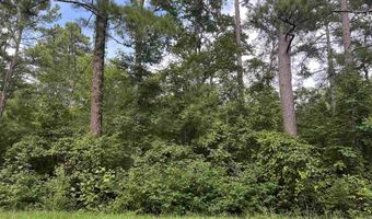 447 Mullinax Cir, Blacksburg, SC 29702