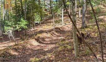 345 Christa Ln, Arden, NC 28704