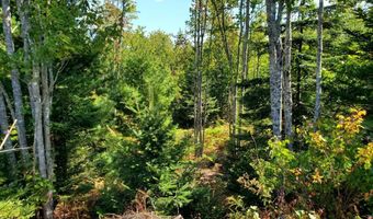 Lot 3 W. McMann & Porcupine Hill Road, Addison, ME 04606