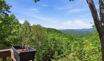 231 Ridge View Dr, Andrews, NC 28901