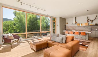 103 Willits Way 201, Basalt, CO 81621