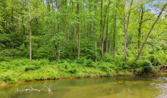 3 19 ACRES LOT 30 DEER LANE BOSTON VA, Boston, VA 22713