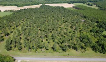 0 S County Road 33, Ashford, AL 36312