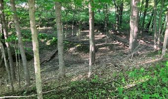N3953-n3739 Bear Pen Road, Arkansaw, WI 54721