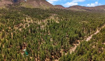 70 County Road 2266, Alpine, AZ 85920