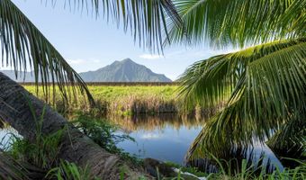 221 Kihapai St 2, Kailua, HI 96734