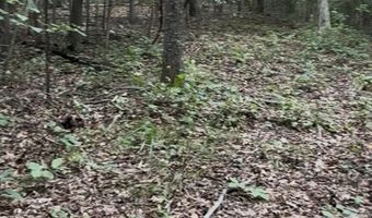 Collins Road, Blaine, TN 37709