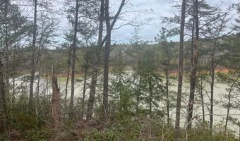 LOT 59 SIPSEY OVERLOOK, Double Springs, AL 35553