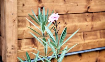 576 Pine Grove Rd, Beattyville, KY 41311