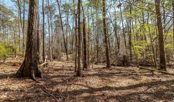 1025 PLANTATION Ln, Lincolnton, GA 30817