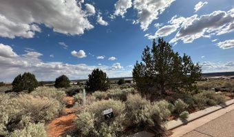 1131 E Red Sage Ln, Apple Valley, UT 84737