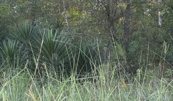 50 Th St, Bell, FL 32619