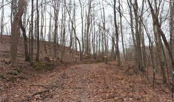 Route 12 Road, Alum Creek, WV 25003