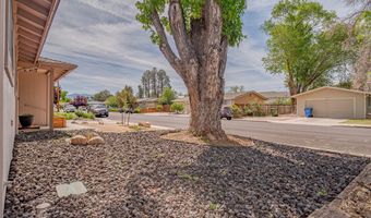 1314 Toiyabe Ave, Gardnerville, NV 89410