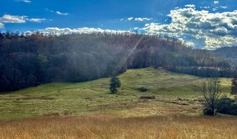 1520 Brittontown Rd, Afton, TN 37616