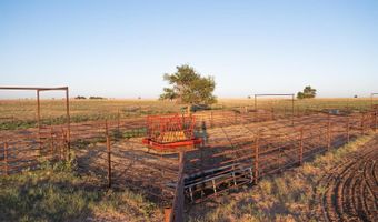 0 County Road 332, Anton, TX 79313