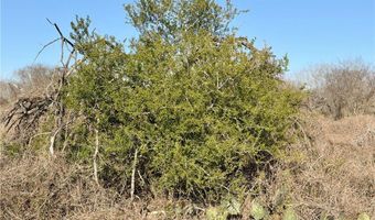 CR 119 lot 0, Alice, TX 78332