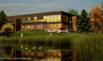 103 Willow Rd 203, Basalt, CO 81621