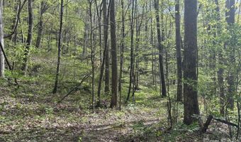999999 Harwood Rd, Barnardsville, NC 28709
