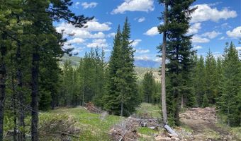 Bear Den Court Road, Big Sky, MT 59716
