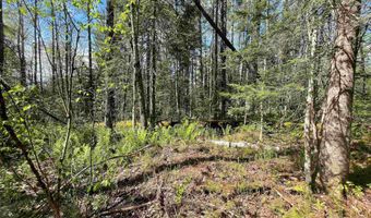 Map 202-Lot 39 Parker Road, Bethlehem, NH 03574