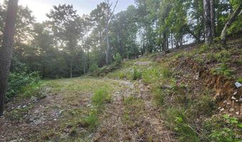 Lot 7 Oversprings Drive, Alexander, AR 72002