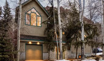 333 W Hopkins Ave, Aspen, CO 81611