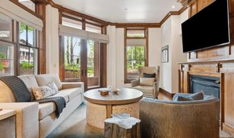 415 E Dean St Unit 1 Week 29, Aspen, CO 81611