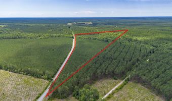 Ten Acre Rd, Andrews, SC 29510