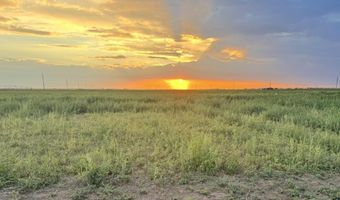 6896 S Bulldog St, Anton, TX 79313