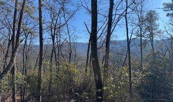 1834 Bristol Ave, Andrews, NC 28901