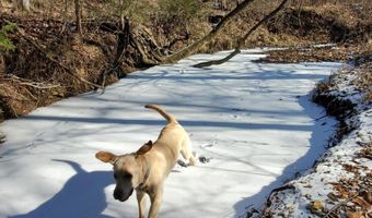 4775 S 50th Rd, Aldrich, MO 65601