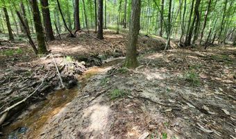 Tbd NE Bahalia Road, Brookhaven, MS 39601