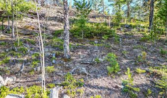 272 Wise Rd, Bailey, CO 80421