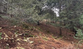 239 Sundale Rd, Accord, NY 12404