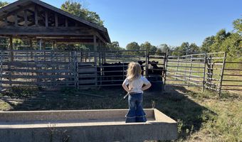 County Road 113, Alton, MO 65606