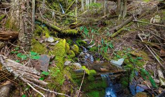 20308 E Canary Creek Rd, Cataldo, ID 83810