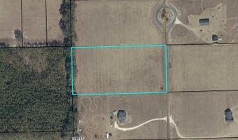 NW 31st Ave, Bell, FL 32619