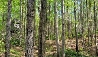 0 CR 77, Ashland, AL 36251