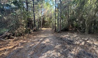 7190 Cantania Rd, Bay St. Louis, MS 39520